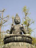 tkf003_393149