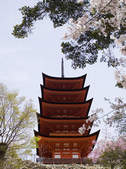 tkf003_393171