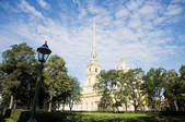 tkf003_393261