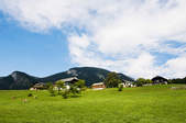 tkf003_394584