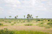 tkf003_400201