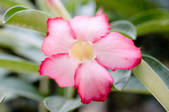 tkf003_441304