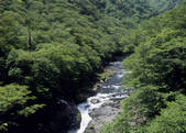 tkf003_524909