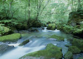 tkf003_525535