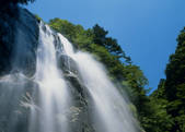 tkf003_528006