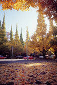 tkf003_529565