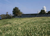 tkf003_533702