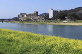 tkf003_533902