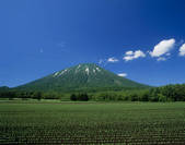 tkf003_534424