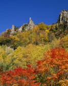 tkf003_534454