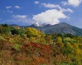 tkf003_534457