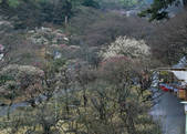 tkf003_534686