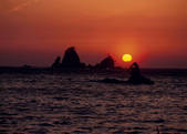 tkf003_534708