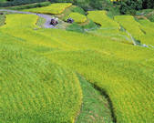 tkf003_537712