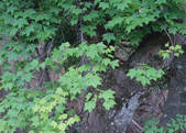 tkf003_540070