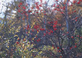 tkf003_540098