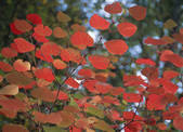 tkf003_540102