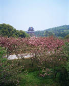 tkf003_542306