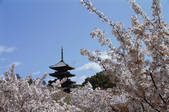 tkf003_546596