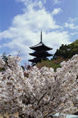 tkf003_546597