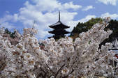 tkf003_546598