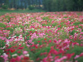 tkf003_550974