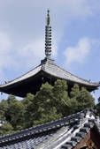 tkf003_552655