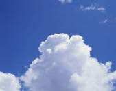 tkf003_554780