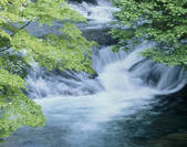 tkf003_555182
