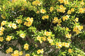 tkf003_557093