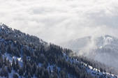 tkf003_564757