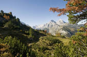 tkf003_567452