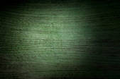 tkf003_594233
