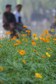 tkf003_666196
