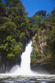 tkf003_675877