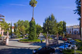 tkf003_675880