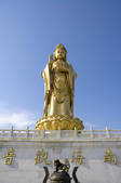 tkf003_686342