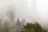tkf003_701407