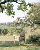 tkf003_807795