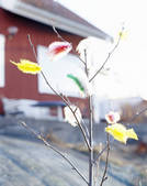 tkf003_811952