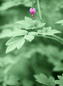 tkf003_813589