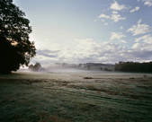 tkf003_980337