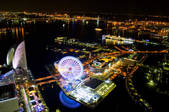 tkf003_988628