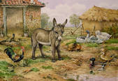 tkm001_184749