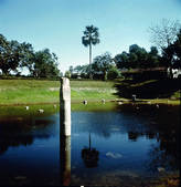 tkm001_194402