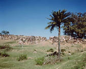 tkm001_194440
