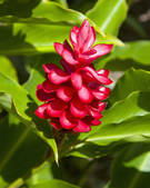 tkm001_468755