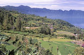 tkm001_492691
