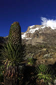 tkm001_507685