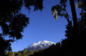 tkm001_507716